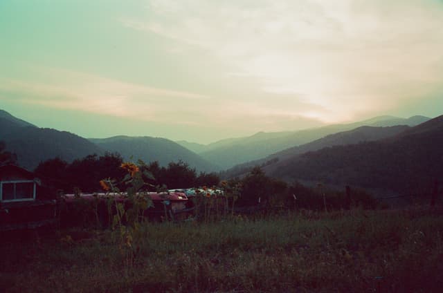/images/photography/diary-20223/104.jpg