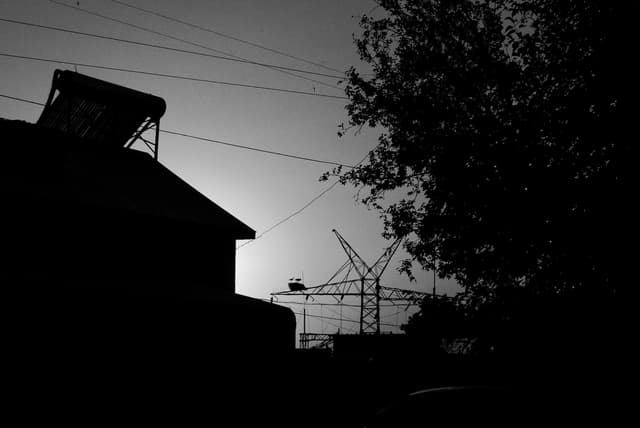 /images/photography/diary-20223/110.jpg