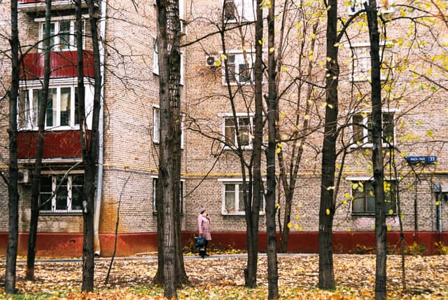 /images/photography/diary-20223/407.jpg